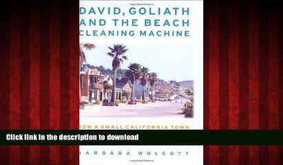 READ THE NEW BOOK David, Goliath and the Beach Cleaning Machine: How a Small California Town