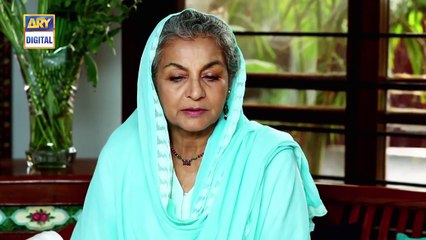 Tum Milay Ep 13 - 3rd October 2016 -HD Entertainment drmas