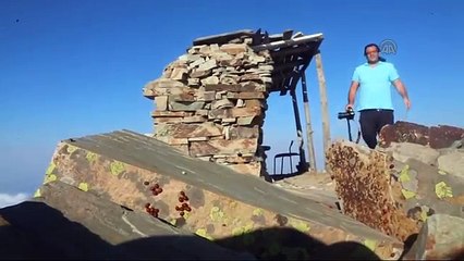 Uğur Böceği Cenneti - Uludaz