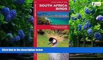 Big Deals  South Africa Birds (A Pocket Naturalist Guide)  Best Seller Books Most Wanted
