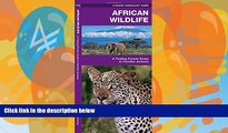 Big Deals  African Wildlife: A Folding Pocket Guide to Familiar Species (Pocket Naturalist Guide