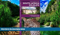 Big Deals  South Africa Wildlife (Pocket Naturalist Guide)  Best Seller Books Best Seller