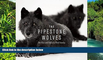 Must Have PDF  The Pipestone Wolves: The Rise and Fall of a Wolf Family  Best Seller Books Most