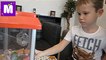 Конфетный аппарат для вылавливания конфет у Макса и Кати Ловим желейные пауки и череп с начинкой Призы победителю видео