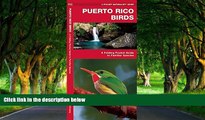 Must Have PDF  Puerto Rico Birds (Pocket Naturalist Guide)  Best Seller Books Most Wanted