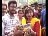 Pakistani Reporter Abusing on LIVE TV - (Indian Media vs Pakistan Media) - funny bloopers