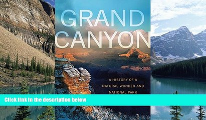 Big Deals  Grand Canyon: A History of a Natural Wonder and National Park (America s National