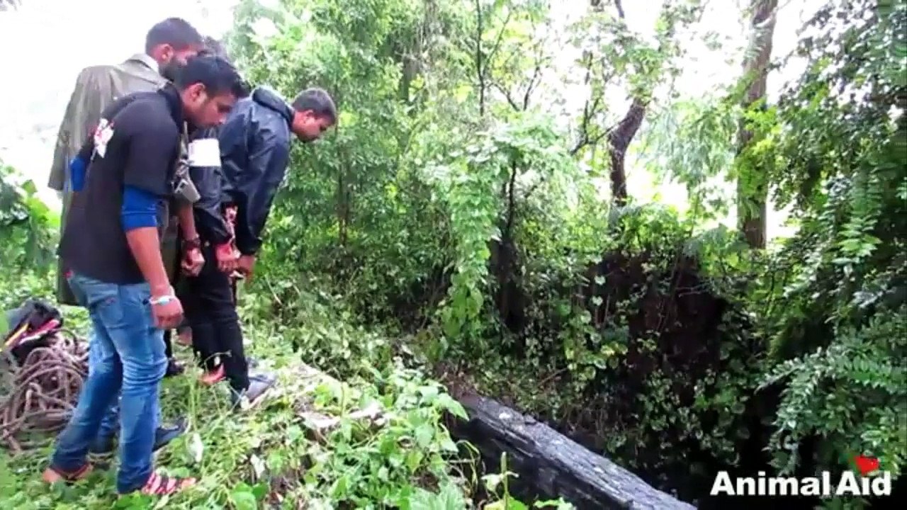 Dog sobs when she sees rescuer coming to save