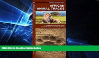 Big Deals  African Animal Tracks: A Folding Pocket Guide to the Tracks   Signs of Familiar Species