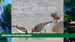 Big Deals  Life Along the Delaware Bay: Cape May, Gateway to a Million Shorebirds  Full Read Most