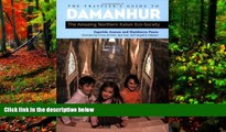 Big Deals  The Traveler s Guide to Damanhur: The Amazing Northern Italian Eco-Society  Best Seller