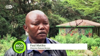 Kenya goes geothermal | Eco-at-Africa