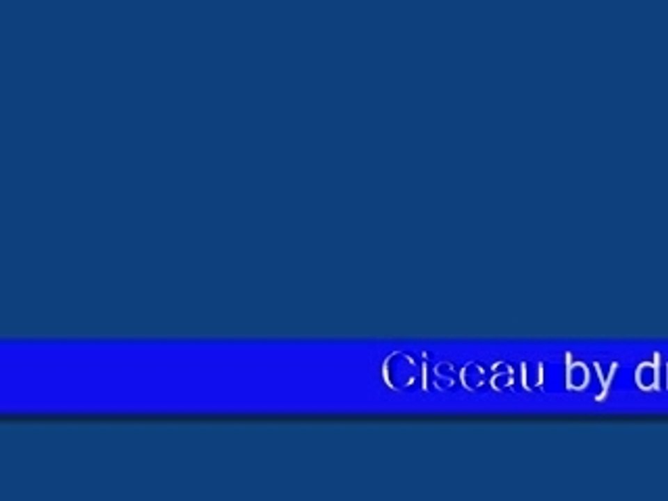 Ciseau drogba7.6