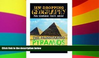 Big Deals  Jaw-Dropping Geography: Fun Learning Facts About Painstaking Pyramids: Illustrated Fun