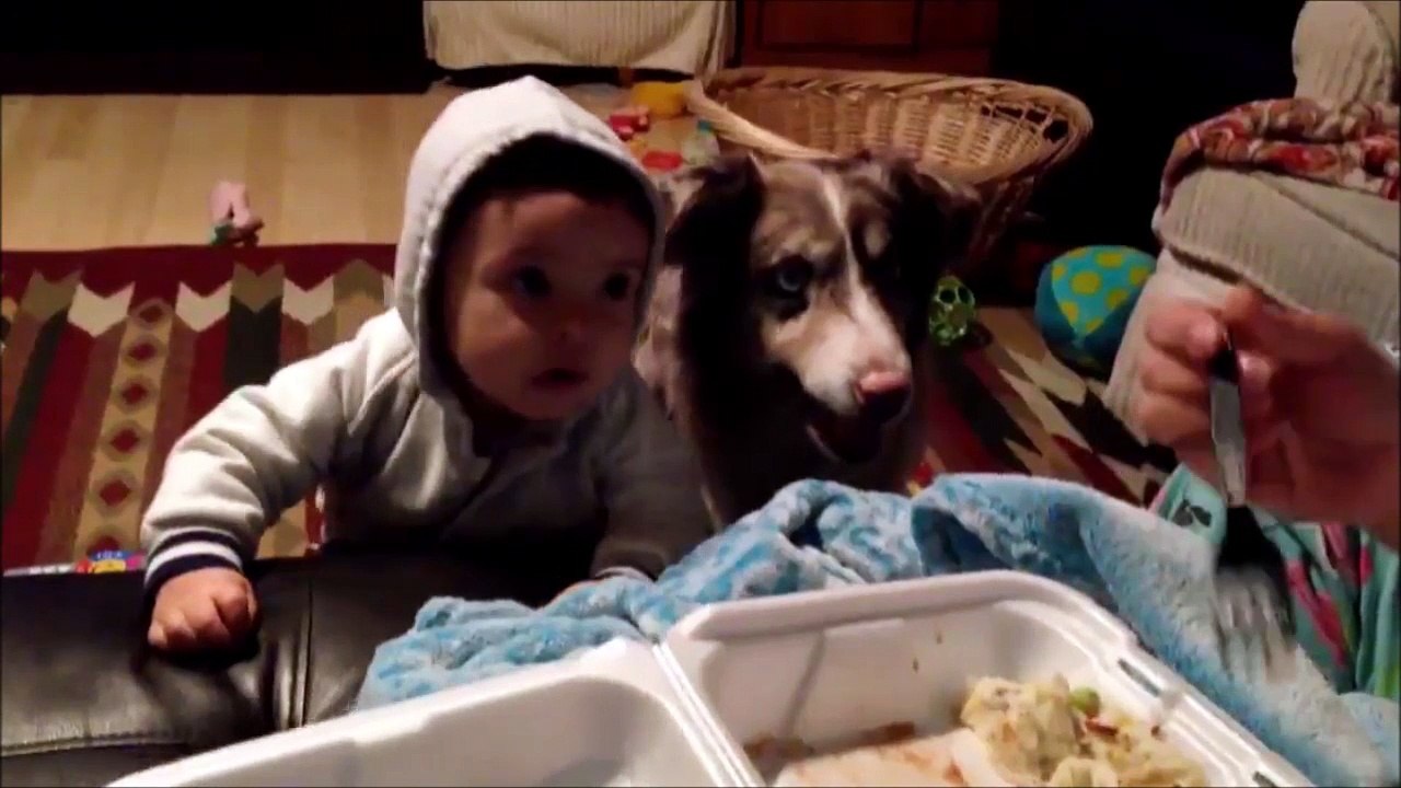 Quand tu essaies de faire parler bébé mais que c'est ton chien qui sort ses premiers mots... mama!!!!