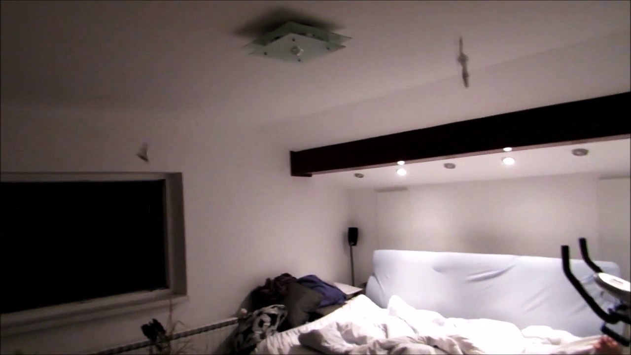 Quand un couple de chauve-souris s'incruste dans ta chambre