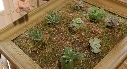 DIY : créez votre tableau végétal