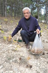 Emekli Öğretmen 1 Yılda 45 Bin Fidan Dikti