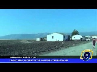 Lavoro nero, 200 irregolari in Puglia