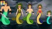 Finger Family Collection | Superheroes Aqua Sea God cartoons Finger Family Rhymes