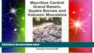Big Deals  Mauritius Central Grand Bassin, Quatre Bornes and Volcanic Mountains: A Souvenir