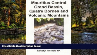 Big Deals  Mauritius Central Grand Bassin, Quatre Bornes and Volcanic Mountains: A  Souvenir