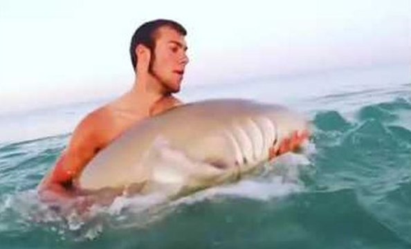 Il pêche un requin à mains nues !