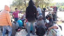 Ayvacık'ta 47 Mülteci Yakalandı