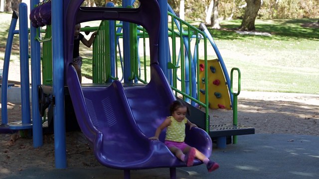 Quand tu rencontres un chien qui parle comme dans le dessin animé La Haut... Caméra cachée