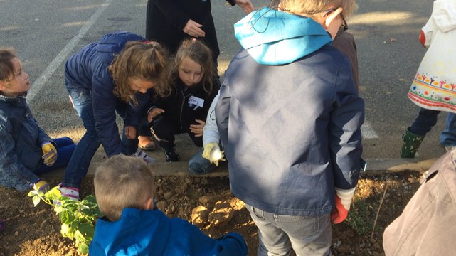 Jardin, peinture et plantations : Etival se fait une beauté