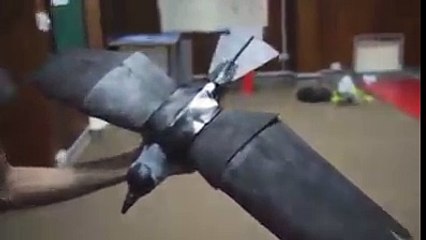 proud to be pakistani students