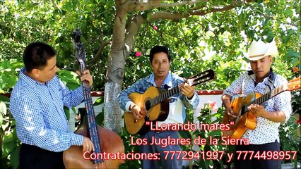 Llorando mares cover los armadillos de la Sierra -Los juglares de la Sierra