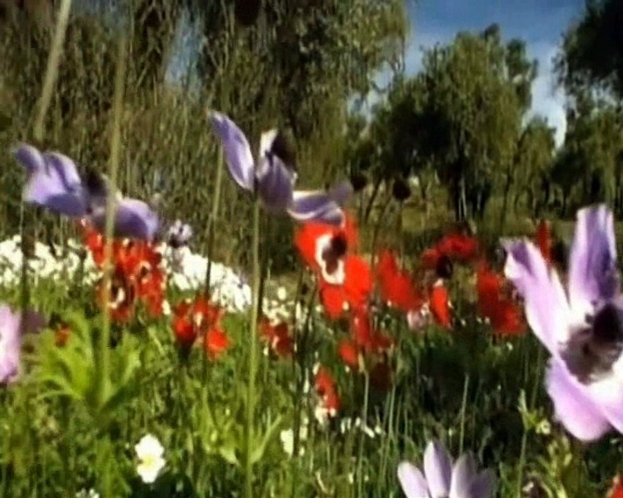 _______• .♪♫ •   ¨   •A Beautiful Day•   ¨   • ♫ ♪. •_______