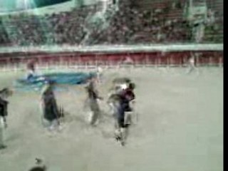 alcolo piscine