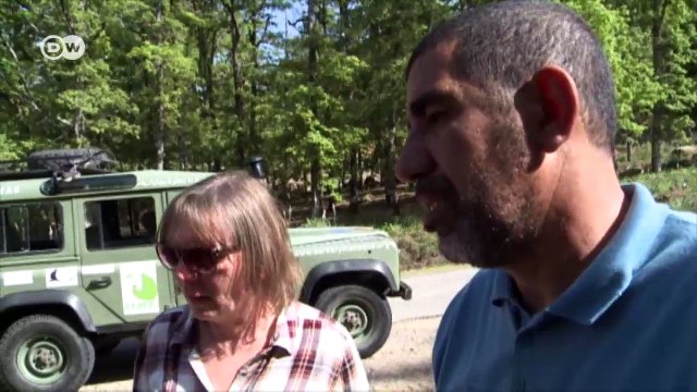 Saving Africa's Barbary macaques | Eco-at-Africa