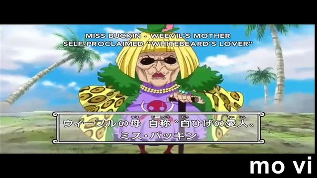 白ひげjr 動画 Dailymotion