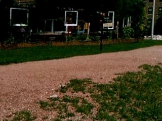 VLOG604- Berger Park Lake Michigan Papillon