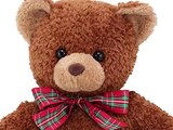 Teddy Bear Stuffed Animal, Teddy Bear Plush For Kids