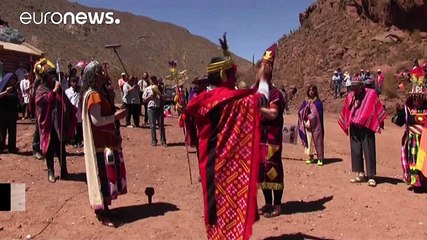 Condor released back to the wild in Argentina