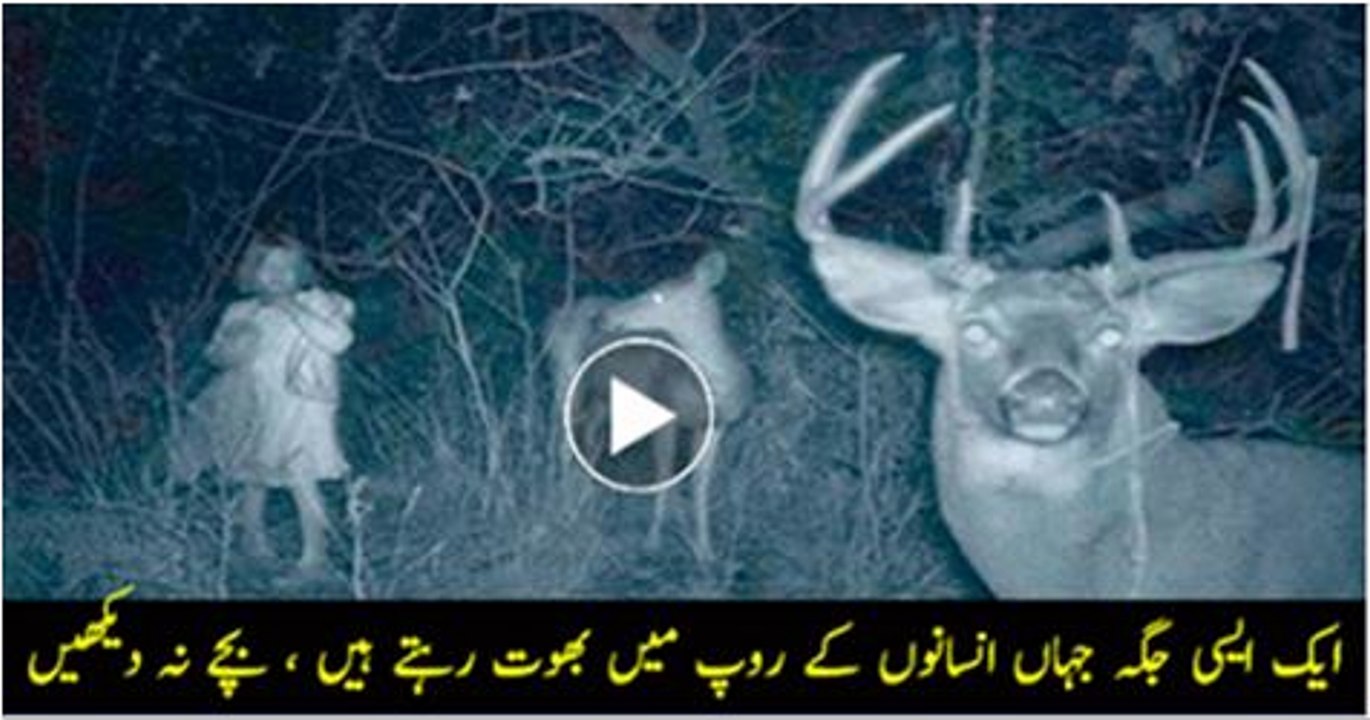 10-Amazing-Videos-Of-Real-Ghosts-Caught-On-Camera-2016