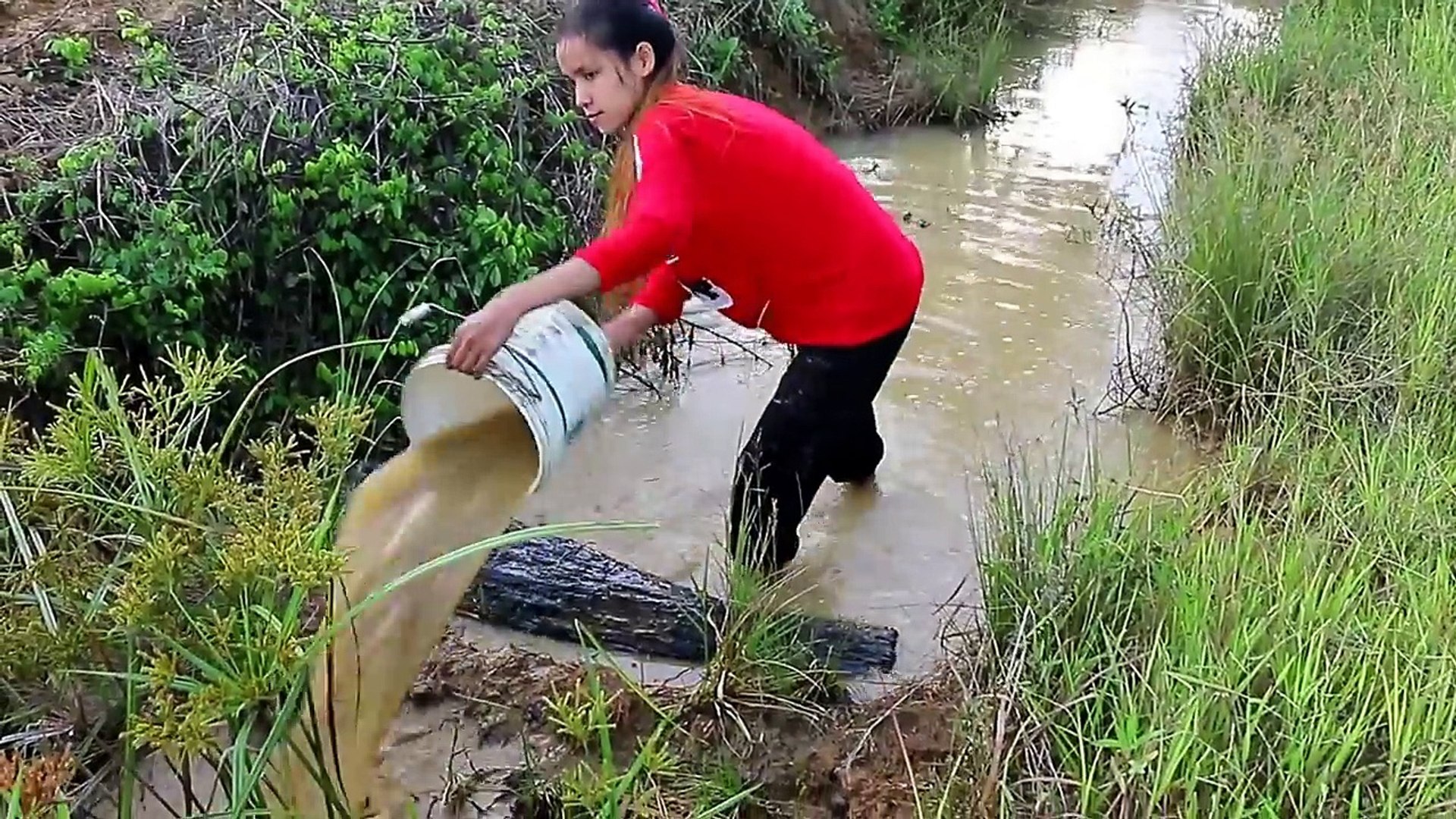 Beautiful Girl Fishing - Amazig Fishing at Battambang - Cambodia Traditional Fishing