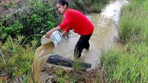 Beautiful Girl Fishing - Amazig Fishing at Battambang - Cambodia Traditional Fishing