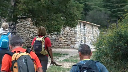 rando Jas de tuny 2016