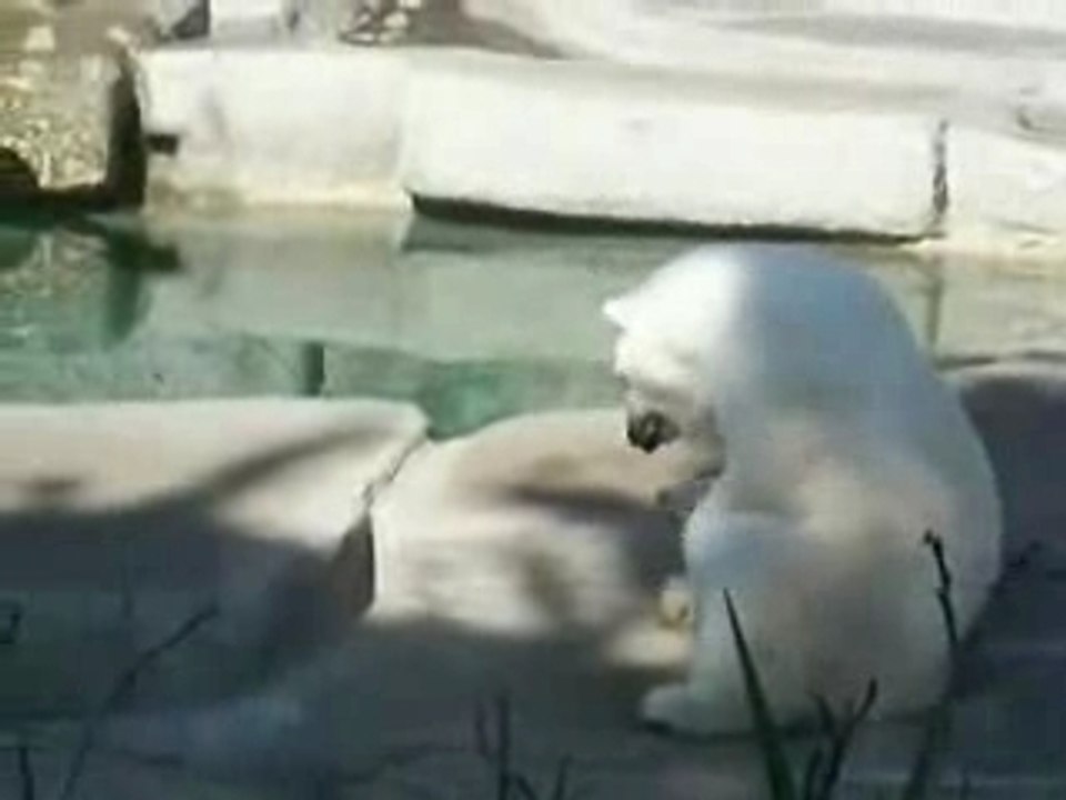 ""va chercher bonheur"""