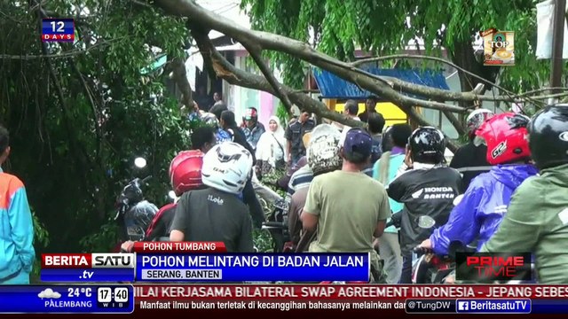 Jalan Utama Serang Macet Panjang Akibat Pohon Tumbang