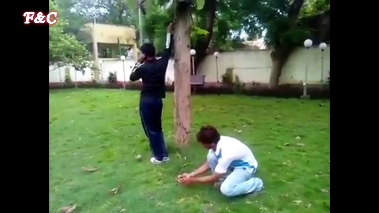 Try Not To Laugh - Funny videos - Funny Fails of july