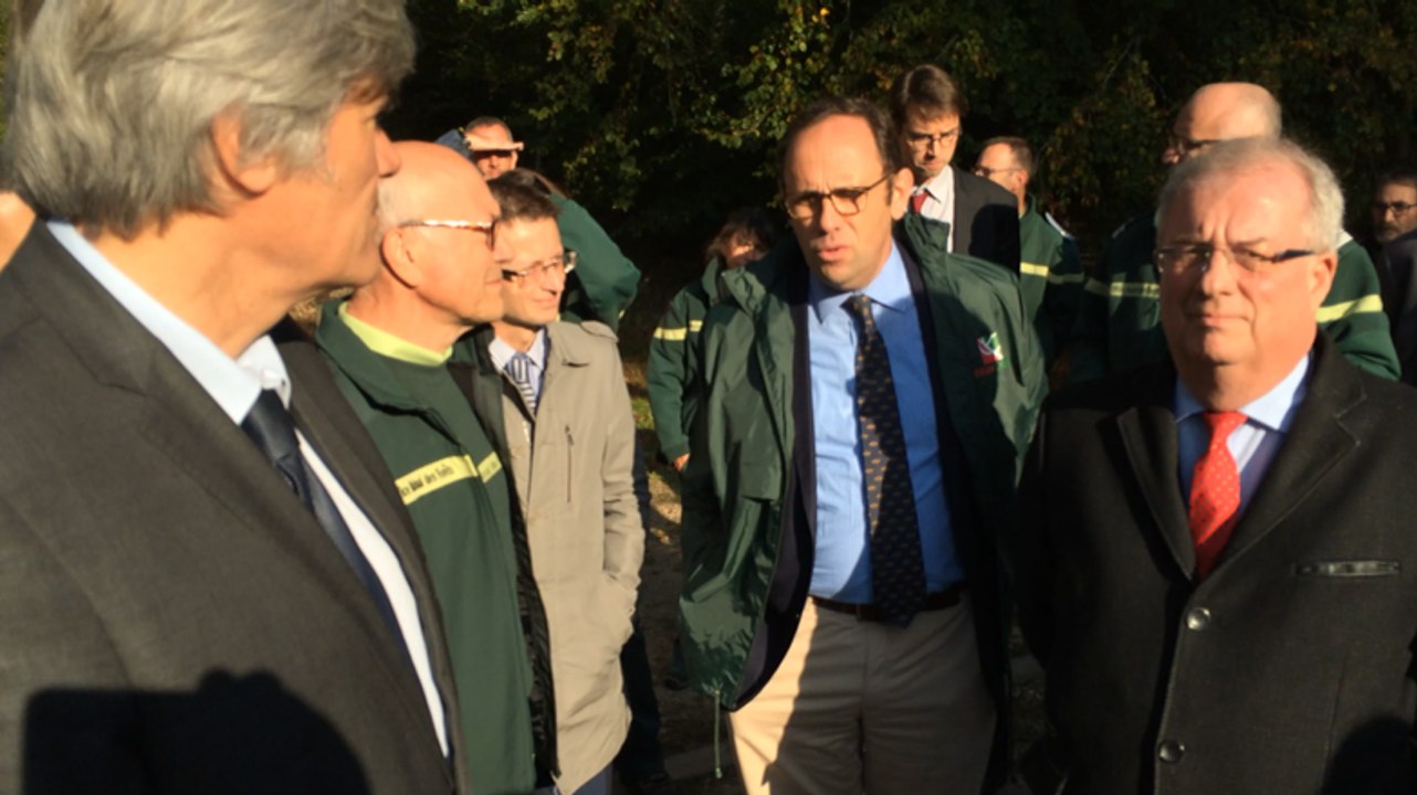 La forêt de Bercé en course pour le label forêt d'exception