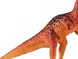 Animaux Dinosaures jouets pour les enfants, Jouets de dinosaures