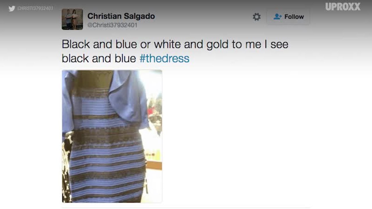 What Color Is This Purse?