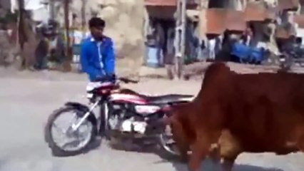 Pakistani Funny Video Whatsapp | Pakistani Funny People